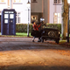 Illustration for article titled Set photos from the Doctor Who Christmas special